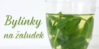 bylinky na žaludek, trávení a pálení žáhy