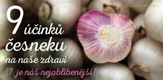 účinky česneku