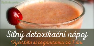 Brusinkový detoxikační nápoj