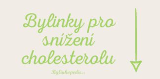 bylinky na cholesterol