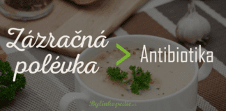 Česnečka