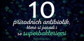 přírodní antibiotika