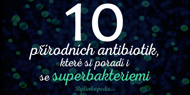 přírodní antibiotika