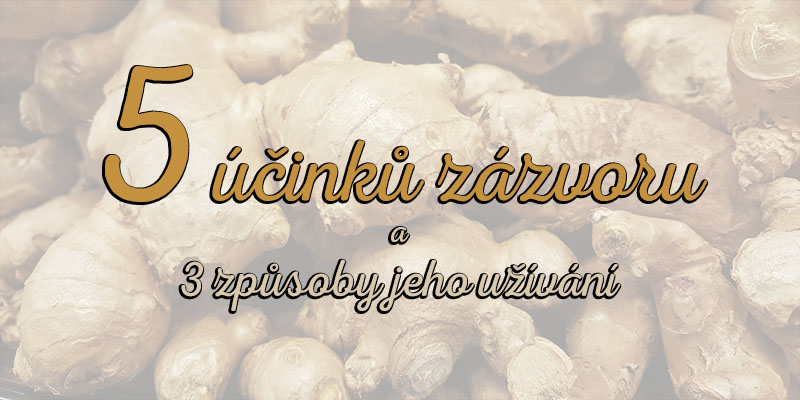 účinky zázvoru