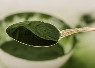 chlorella1