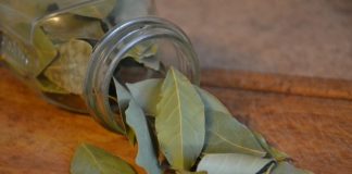 vavřín – bobkový list