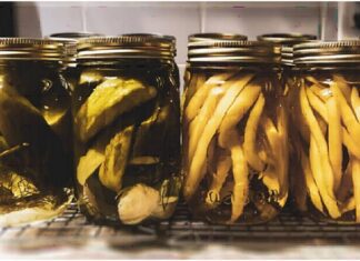 Fermentované potraviny: Jak působí na naše zdraví? fermentace