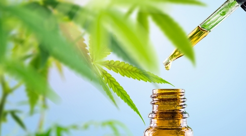 cbd olej cbd olej
