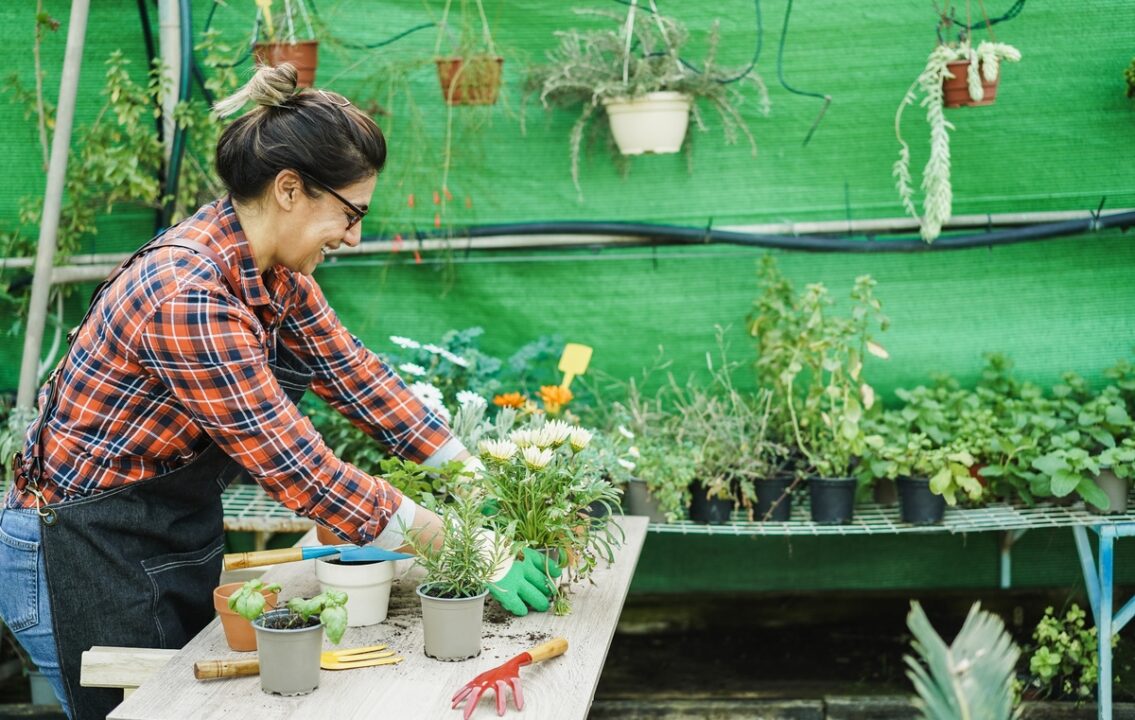 Hispanic woman working inside greenhouse garden with aromatic herbs plants Nursery and spring concept Focus on head
