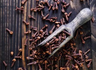 cloves
