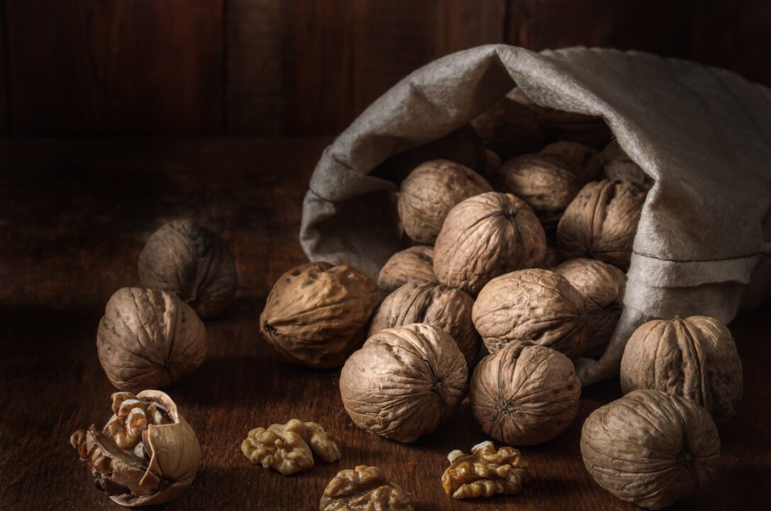 orechy bag with walnuts and kernels