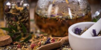 Čaj z kořene anděliky lékařské (Archangelica officinalis): tradiční bylinkový čaj pro vaše zdraví a pohodu - NOVINKA