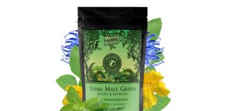 Yerba Mate Green Boost & Refresh – síla maté s osvěžujícími bylinami - NOVINKA