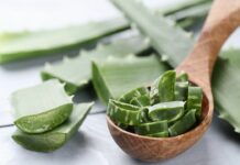 Aloe vera: přírodní léčitel v domácí lékárně