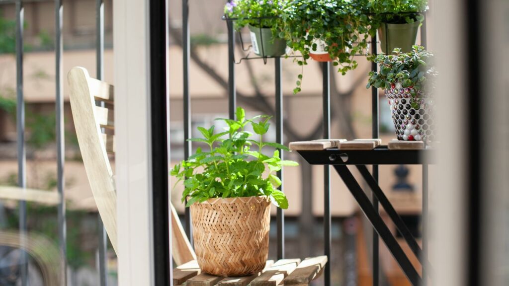 Zelený balkon v srdci města: Pěstování bylinek ve městském prostředí