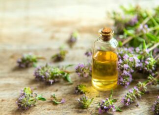 Voňavý lék proti zimě: jak si připravit sirup z tymiánu (Thymus vulgaris) a k čemu ho používat Tymián a jeho využití v kuchyni a léčitelství - Vlastnosti a tipy pro použití