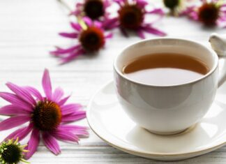 Nachlazení a chřipka: Přehled bylinek, jako je echinacea a zázvor