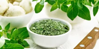 Oregano: nezbytnost v italské kuchyni