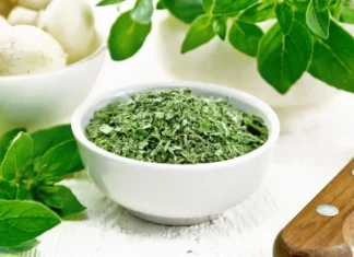 Oregano: nezbytnost v italské kuchyni