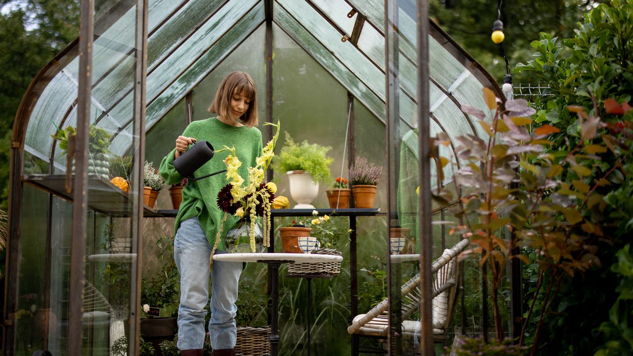 Pěstování bylinek ve skleníku: Rady, návody a postupy