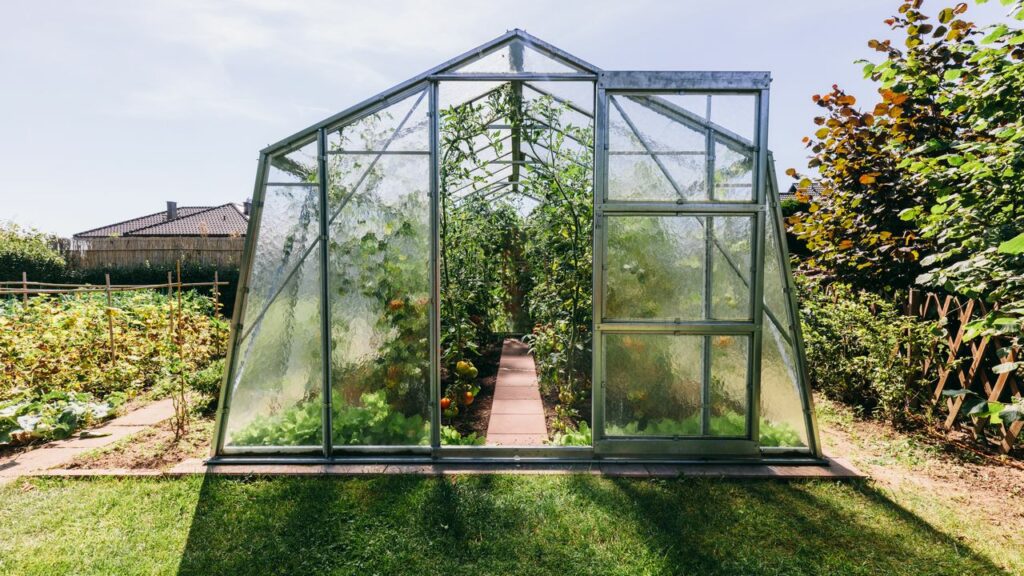 Pěstování bylinek ve skleníku: Rady, návody a postupy