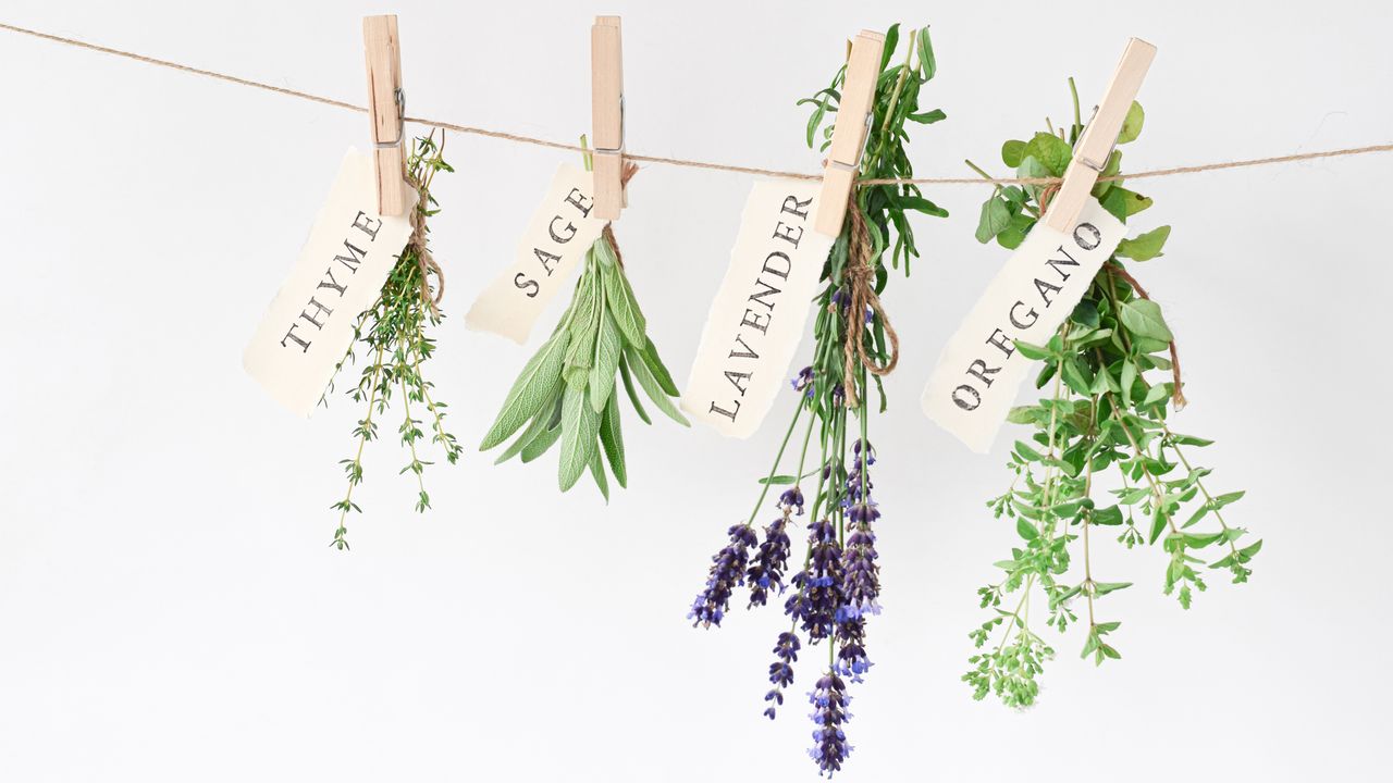 Ukládání bylinek na zimu: jak je správně skladovat