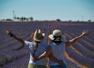 Jemná pomoc přírody: bylinky při poruchách příjmu potravy Bylinek plný Provence – levandule a spol.
