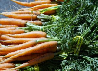 Bylinky na podporu přirozeného opálení: přírodní cesta ke zdravé a bronzové pokožce carrot