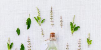 basil