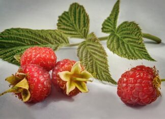 berry
