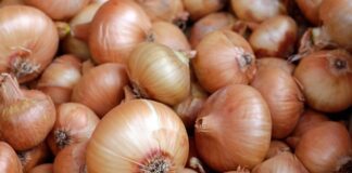 onions