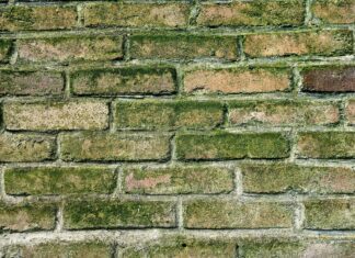 wall