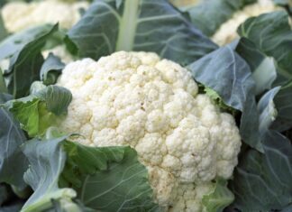 Výživná a nízkokalorická zelenina s detoxikačními účinky cauliflower