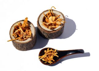 cordyceps