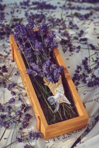 lavender