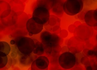 plasma