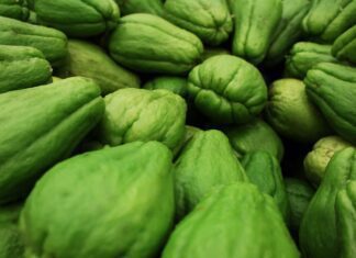Chayote – avokádová zelenina bohatá na elektrolyty a hydrataci organismu chayote