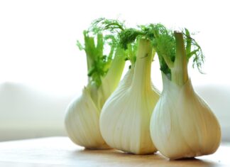 fennel