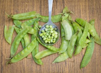Přirozený zdroj chlorofylu a podpora očisty krve – Zelený hrášek green peas