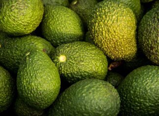 avocados