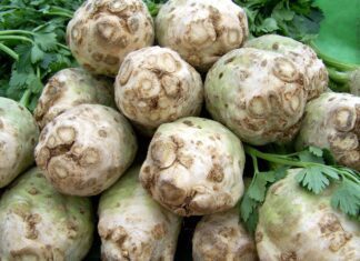 Celer jako přírodní pomocník při snižování krevního tlaku celery
