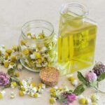 chamomile
