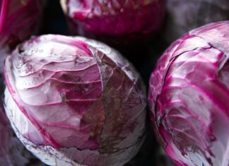 Červené zelí jako zdroj antokyanů a podpora zdravého střeva red cabbages