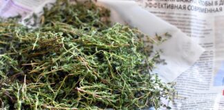 irenna thyme