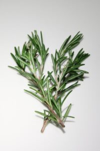 kwol rosemary