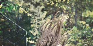 pexels hair