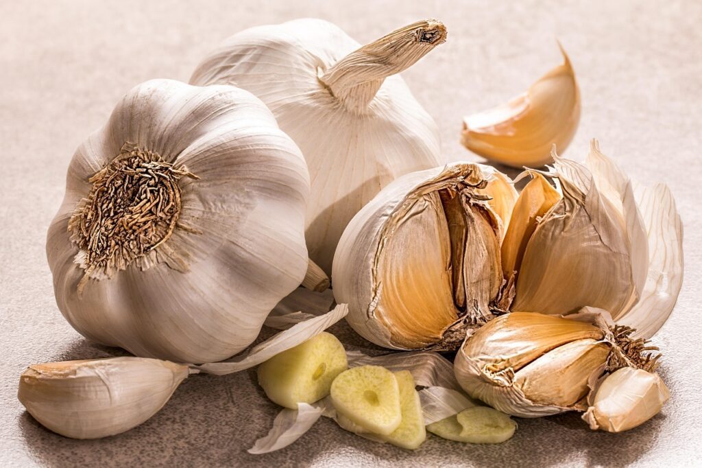 stevepb garlic