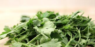tortic parsley