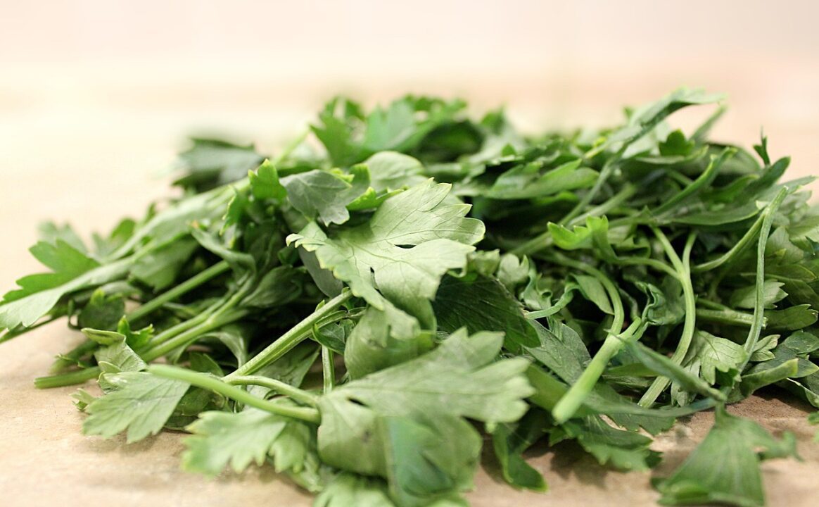 tortic parsley