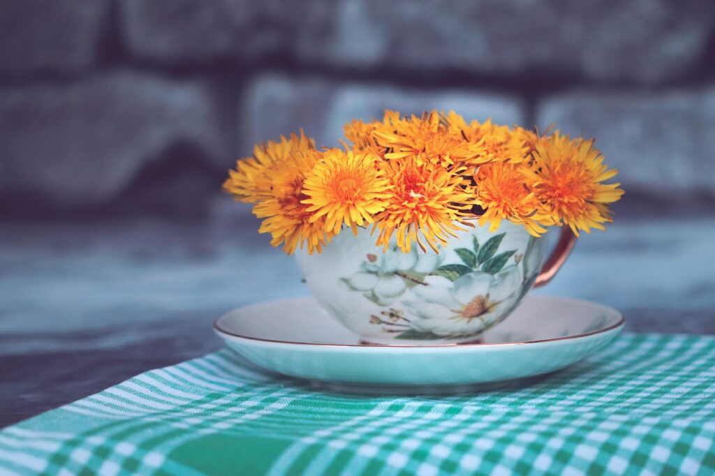 vanssa dandelion